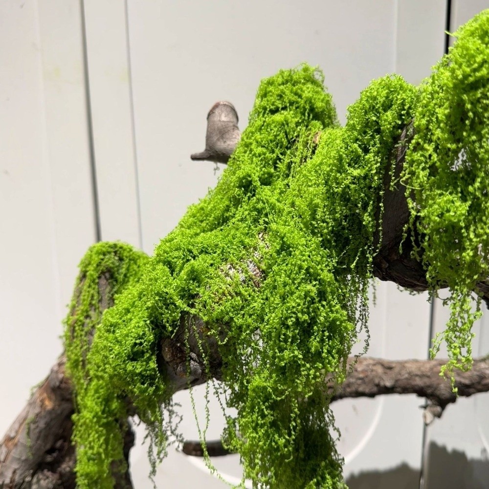 Plantes artificielles en polye - Terrarium Moss Art avis et prix