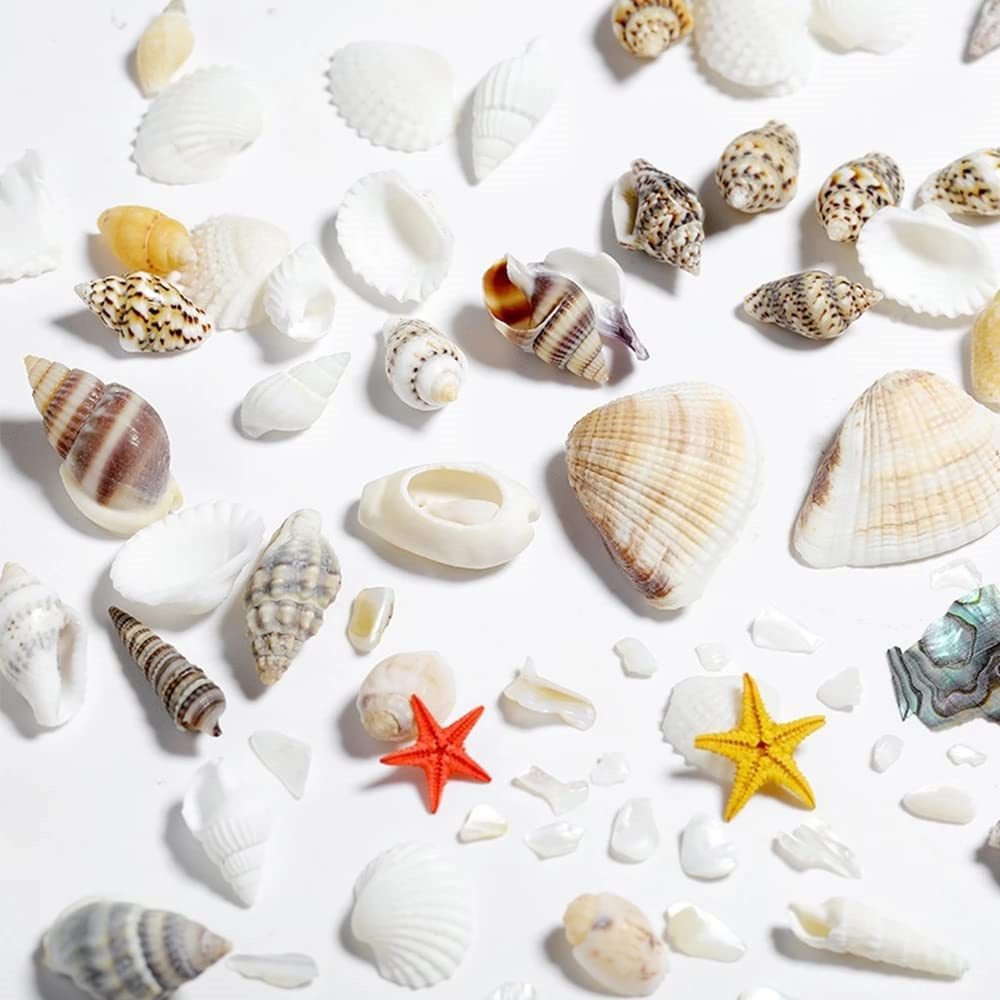 Boîte de coquillages de mer en - Resin Ocean Wave Mold avis et prix