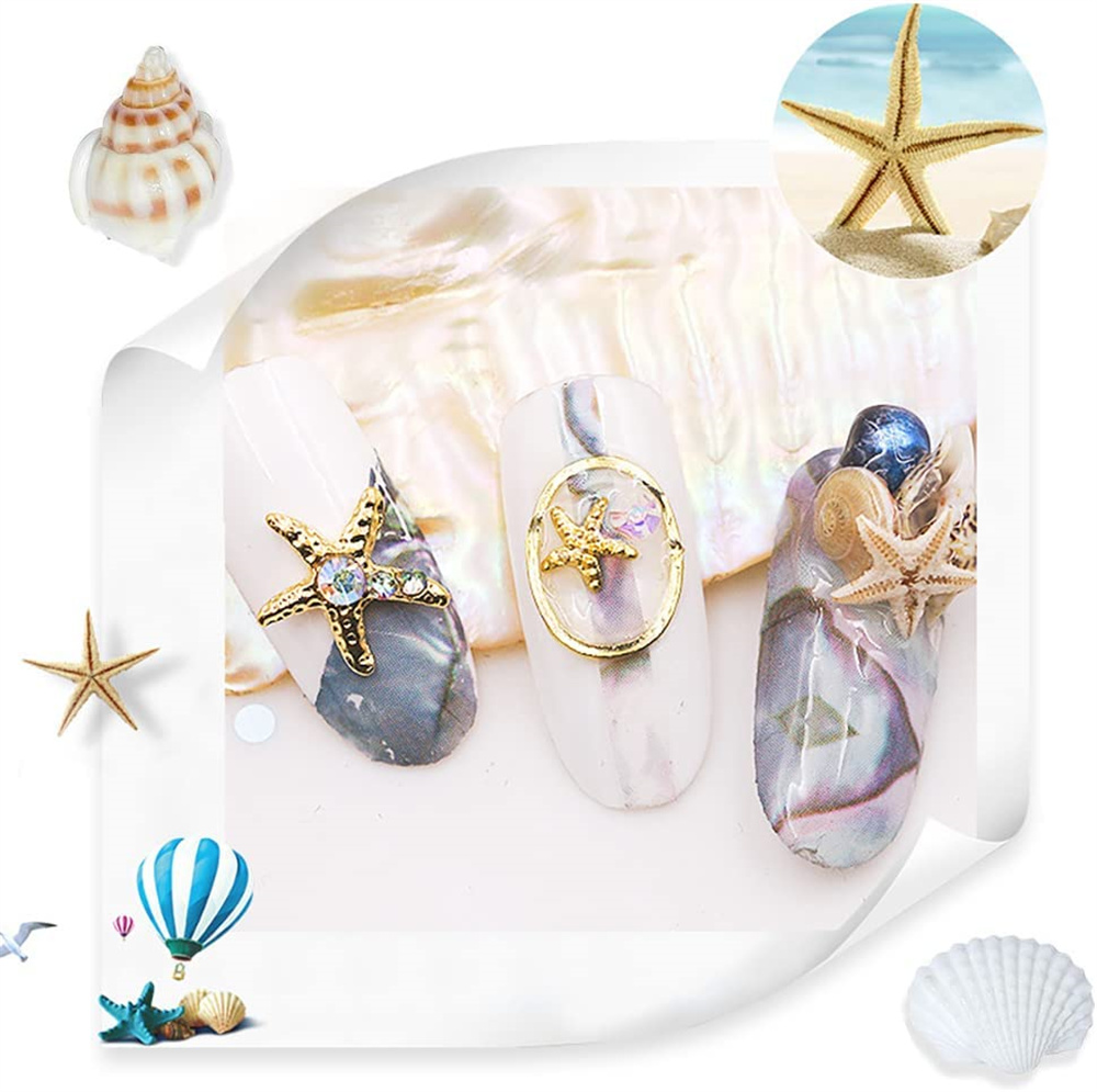 Boîte de coquillages de mer en - Resin Ocean Wave Mold avis et prix